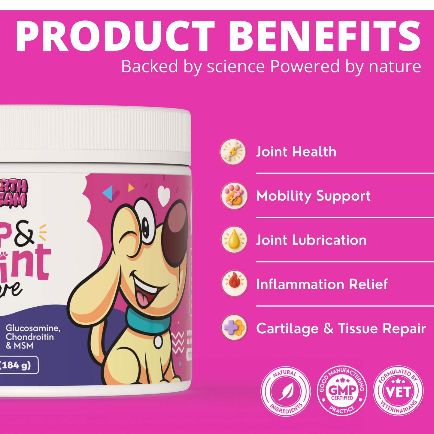 North Dream – Hip & Joint Care for Dogs (Beef Flavor) – 90 Soft Chews with Glucosamine, MSM, Turmeric & Chondroitin