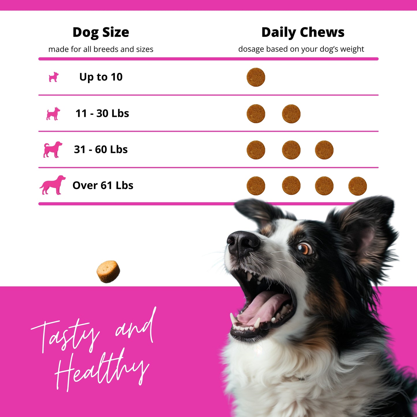 North Dream – Hip & Joint Care for Dogs (Beef Flavor) – 90 Soft Chews with Glucosamine, MSM, Turmeric & Chondroitin